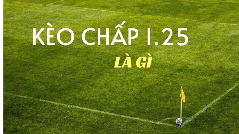 Kèo chấp 1.25 trái thực tế rất đa dạng và phổ biến Kèo chấp 1.25 trái thực tế rất đa dạng và phổ biến